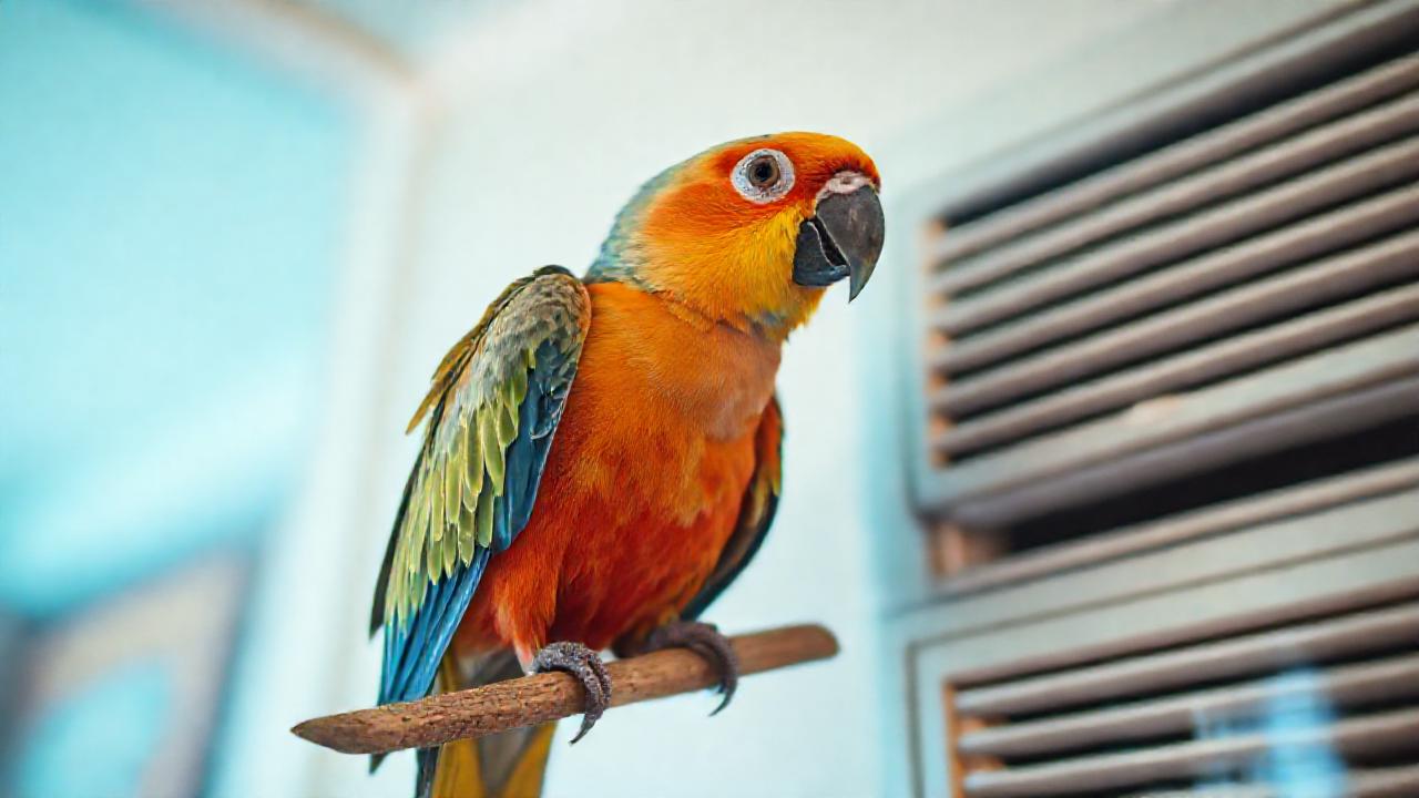 Un loro inquieto en un interior frío